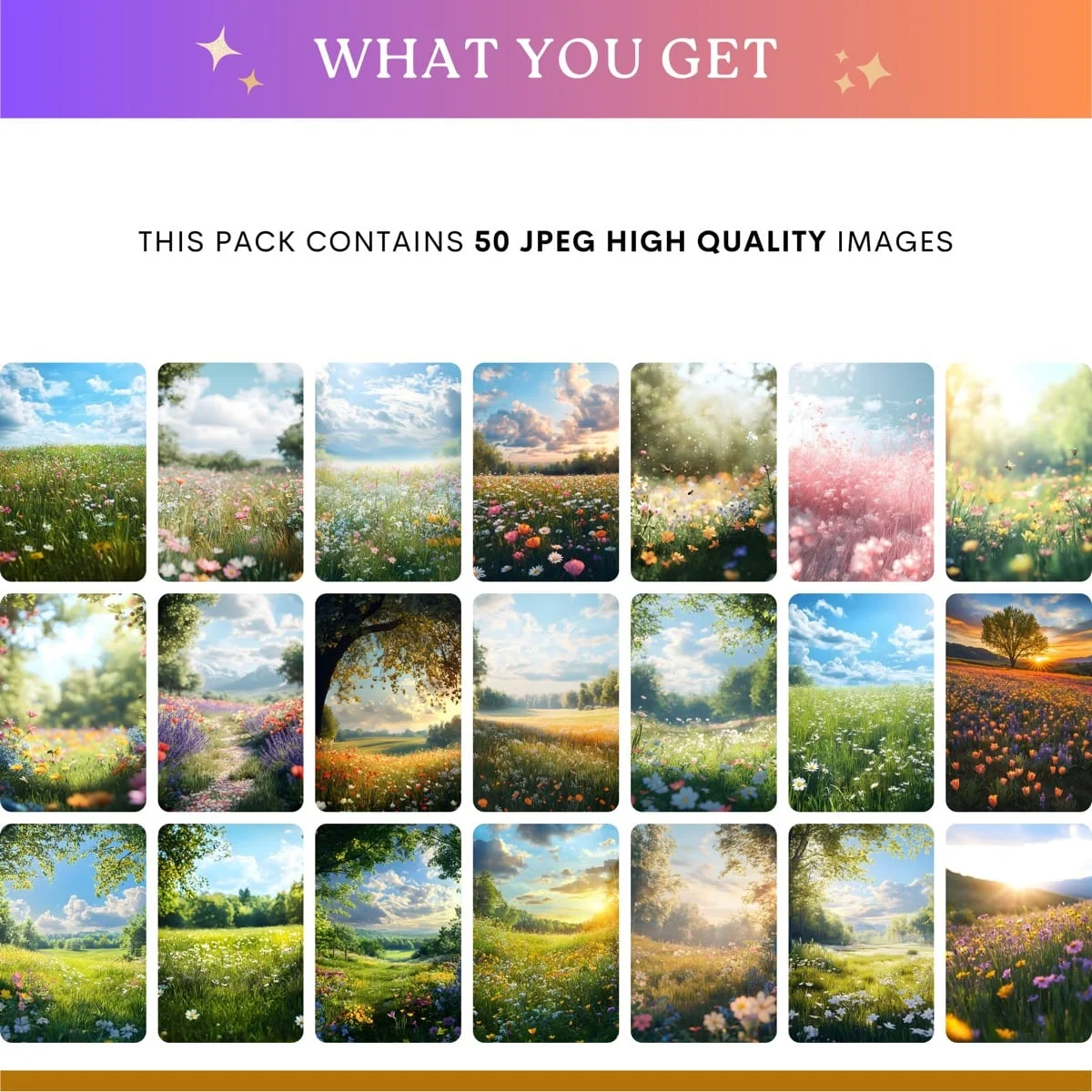 Springtime Backgrounds - Wildflower Meadow - what's included: 50 high-resolution backgrounds