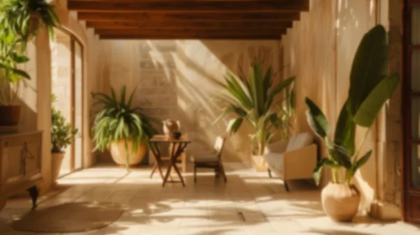 Zoom Backgrounds - Mediterranean Patio 8